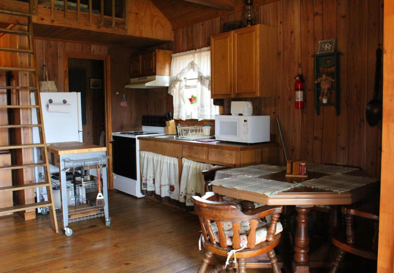 Bed and Breakfast Berry Creek Cabins Isabel Zewnętrze zdjęcie