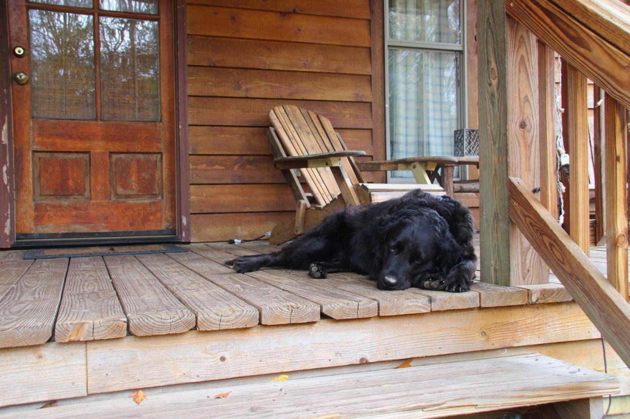 Bed and Breakfast Berry Creek Cabins Isabel Zewnętrze zdjęcie